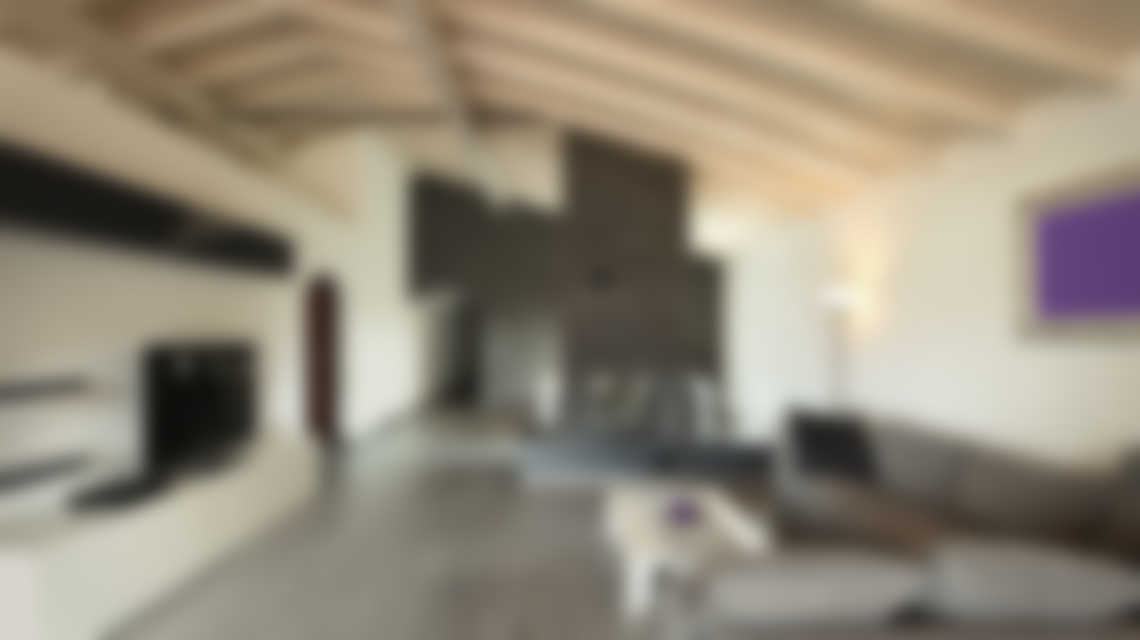You are currently viewing Villa Rustica Renovation